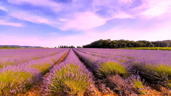 84-BOUCLE-LUBERON-0.jpg
