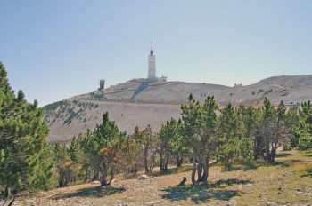 84-NESQUE-VENTOUX-0.jpg